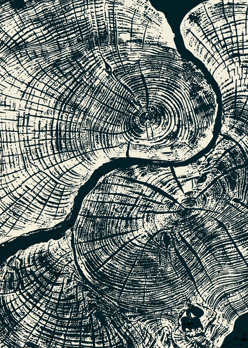 'maple tree ring' Poster, picture, metal print, paint by Denise ...