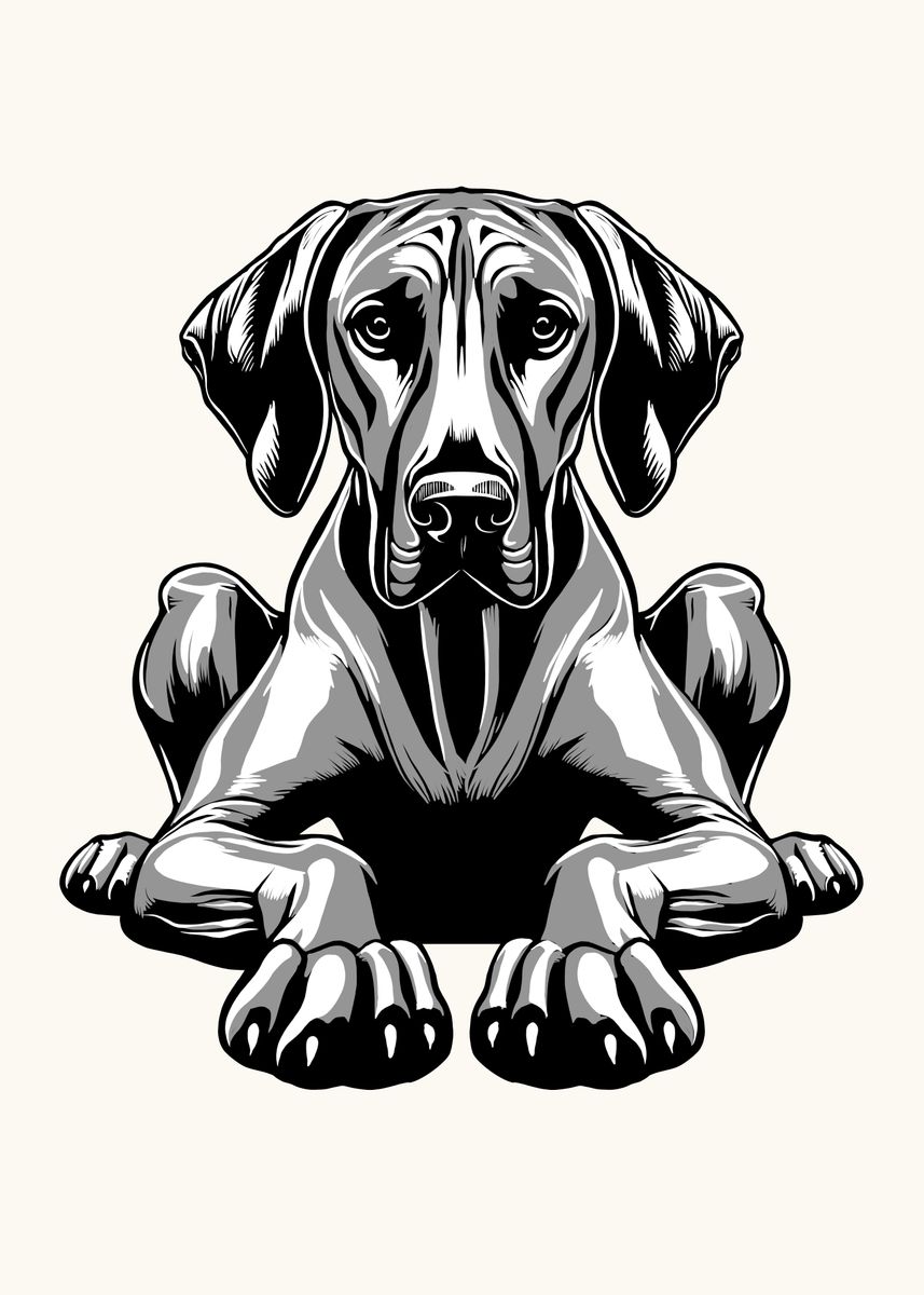 'Rhodesian Ridgeback' Poster, picture, metal print, paint by ...