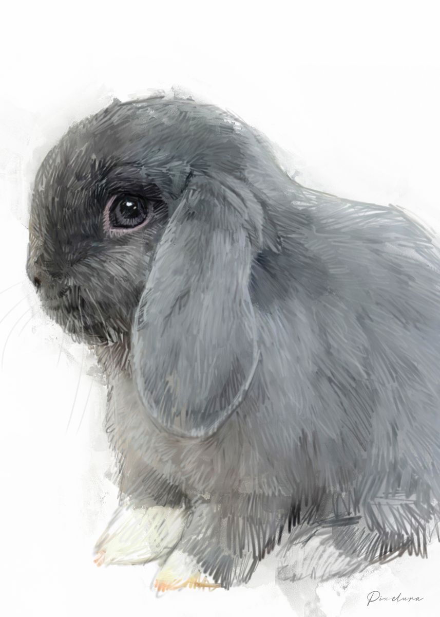 'Grey Lop Bunny Portrait' Poster, picture, metal print, paint by ...