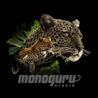 Monoguru