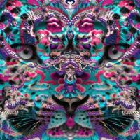 Digital Hallucinations by Sandra
