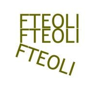 FTEOLI Z.