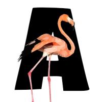 Treo Flamingo