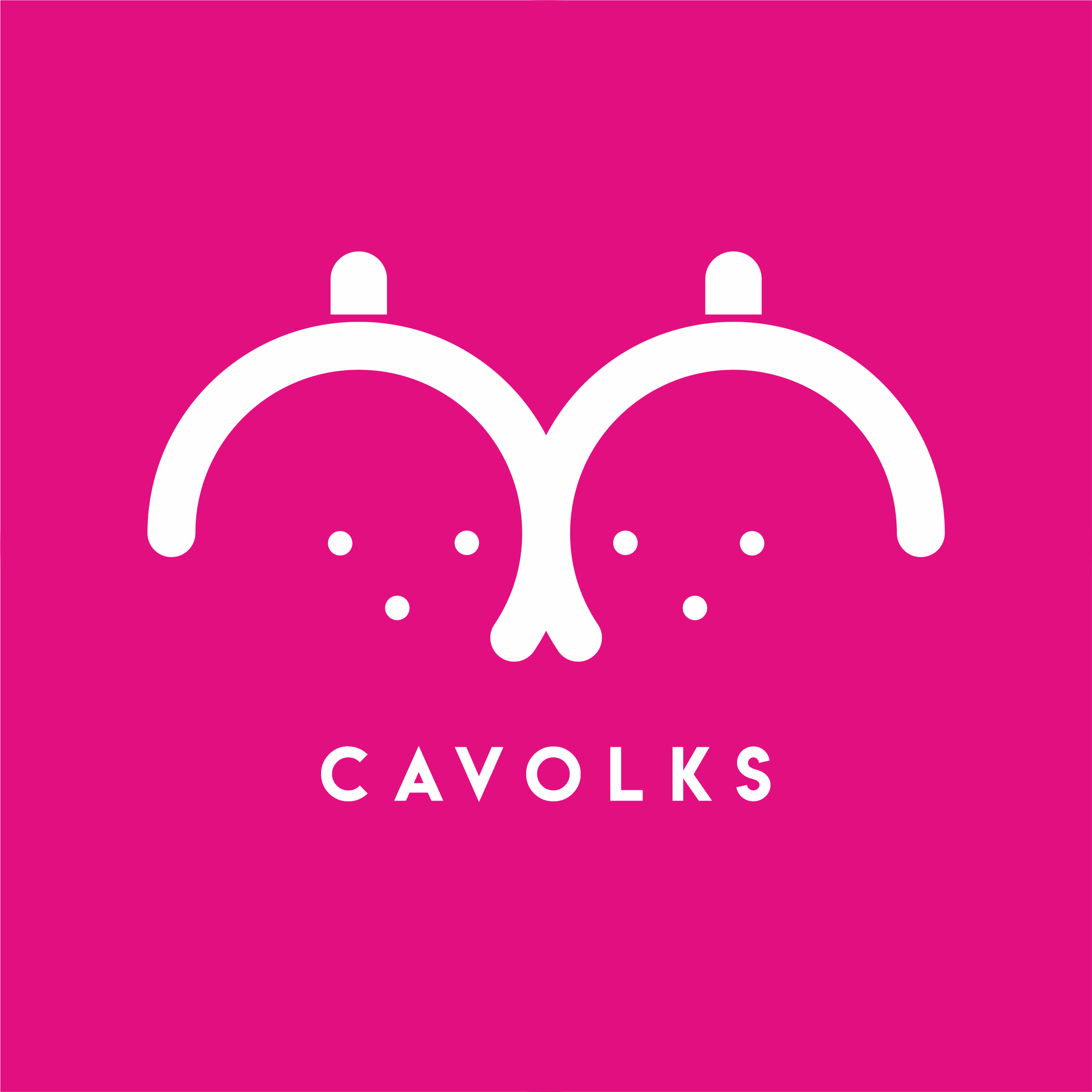 cavolks studio